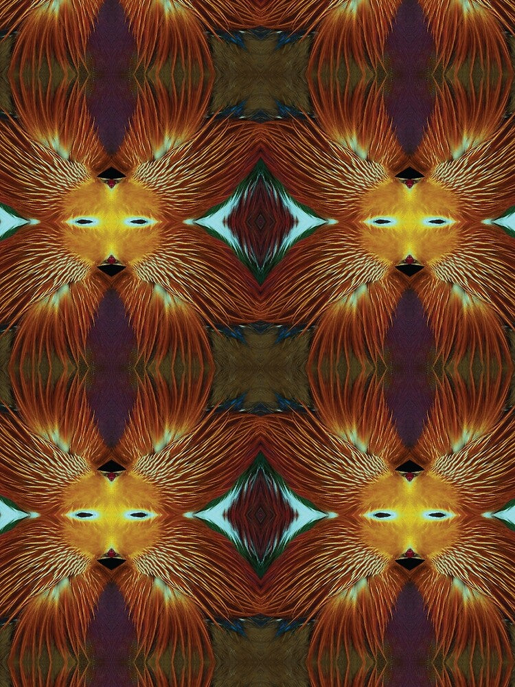Bird Feathers Cool Art by Z.K Studio