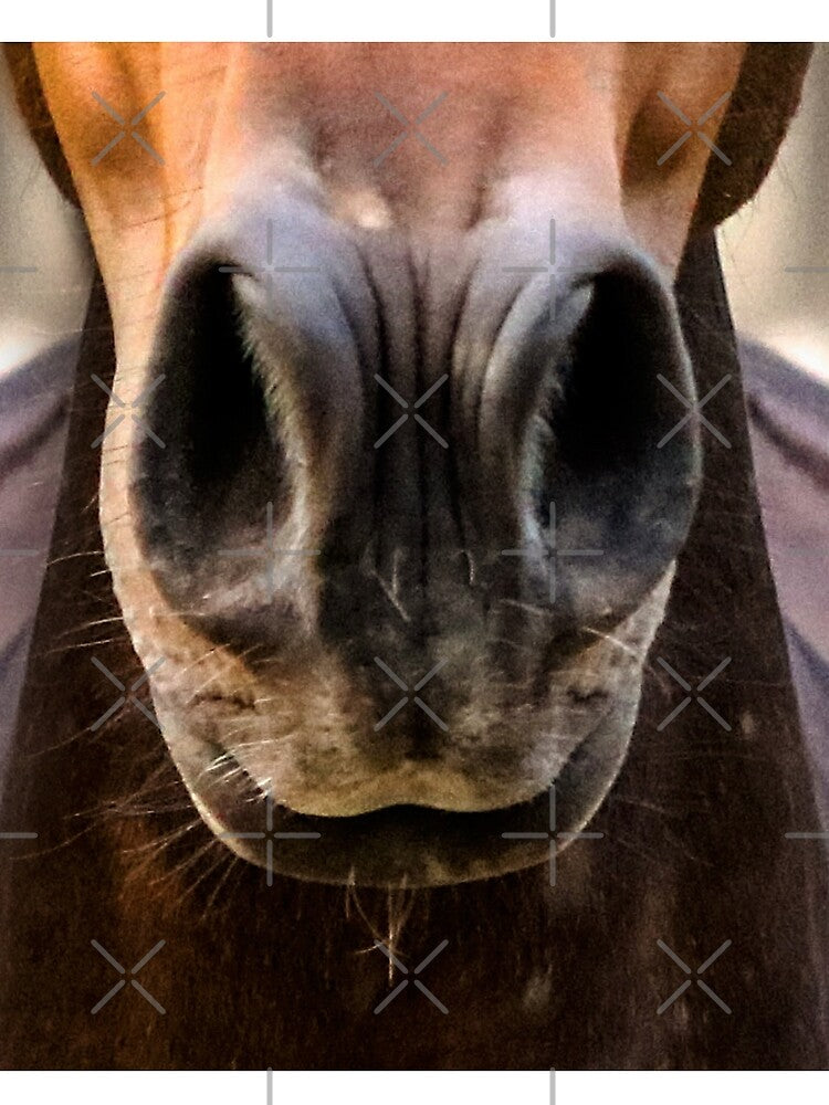Funny horse mask by Mi-Kalmia