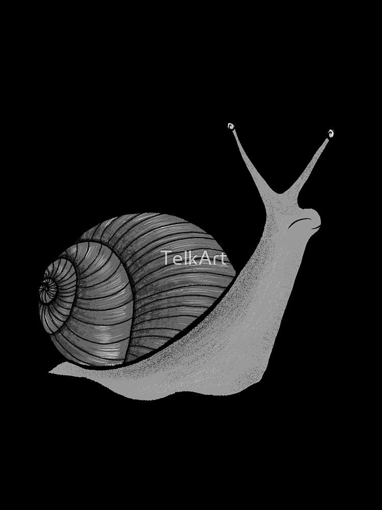 Grayscale Snail by TelkArt