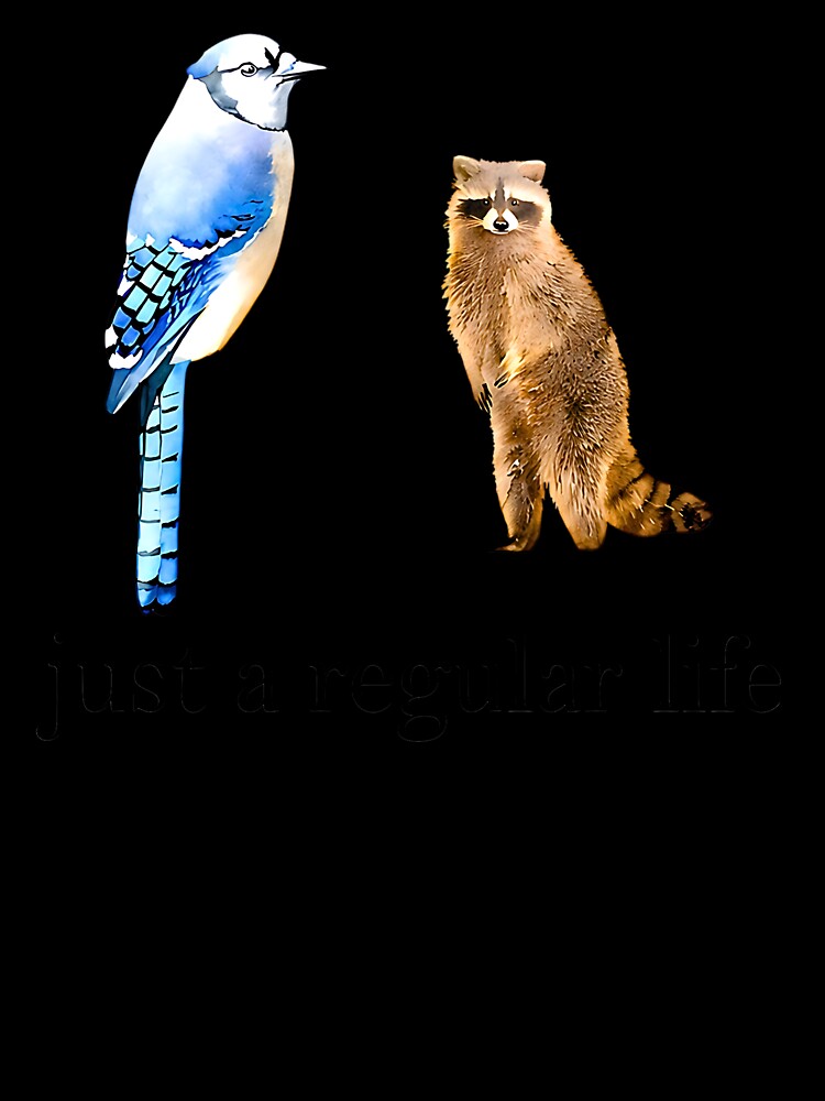 Just a Regular Life Blue Jay Raccoon Funny Wildlife Meme by URGlden