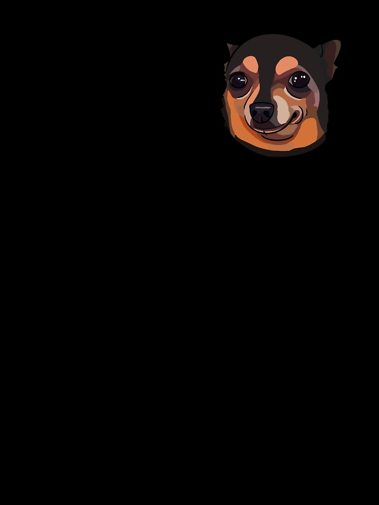 Mildly Uncomfortable Chihuahua Meme by poodlepin