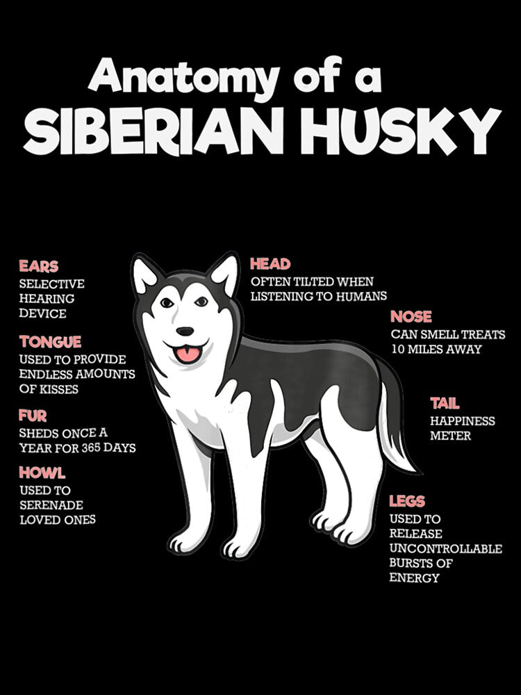 Anatomy Of A Siberian Husky Funny Dog by NiceStore059