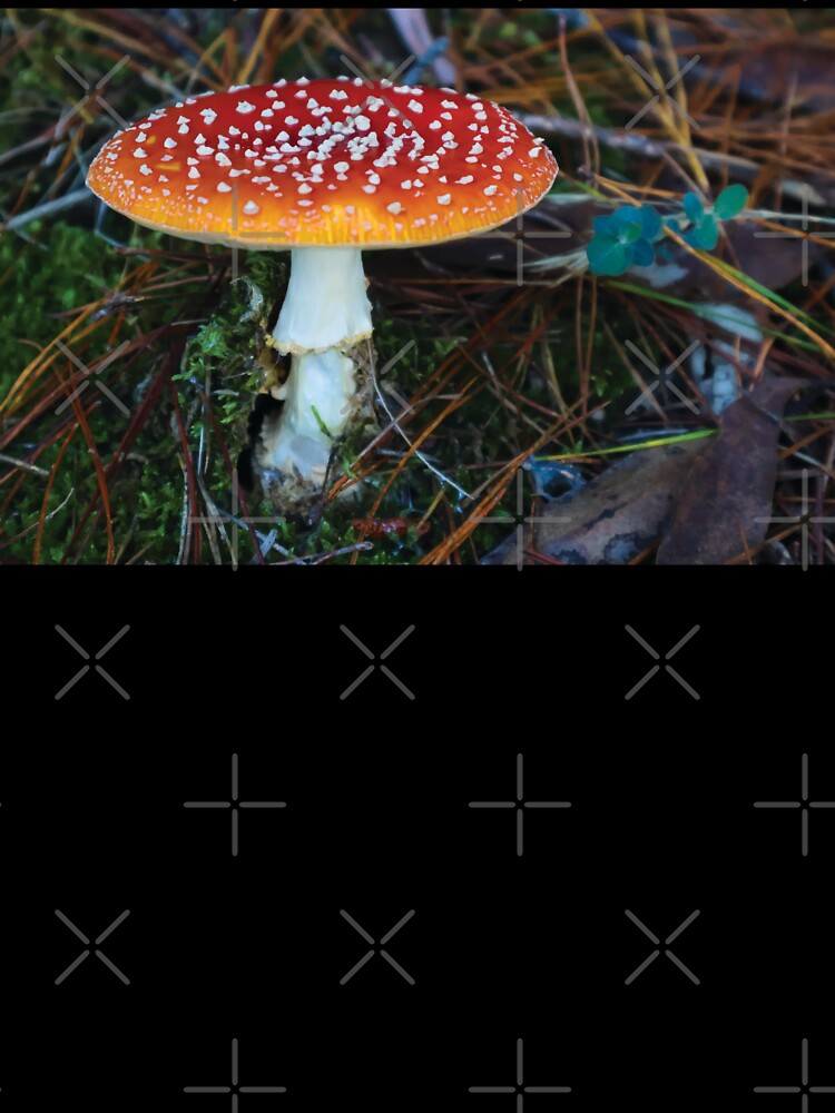 Amanita Muscaria Mushroom in Mossy Pine Forest by Maddy the Maker