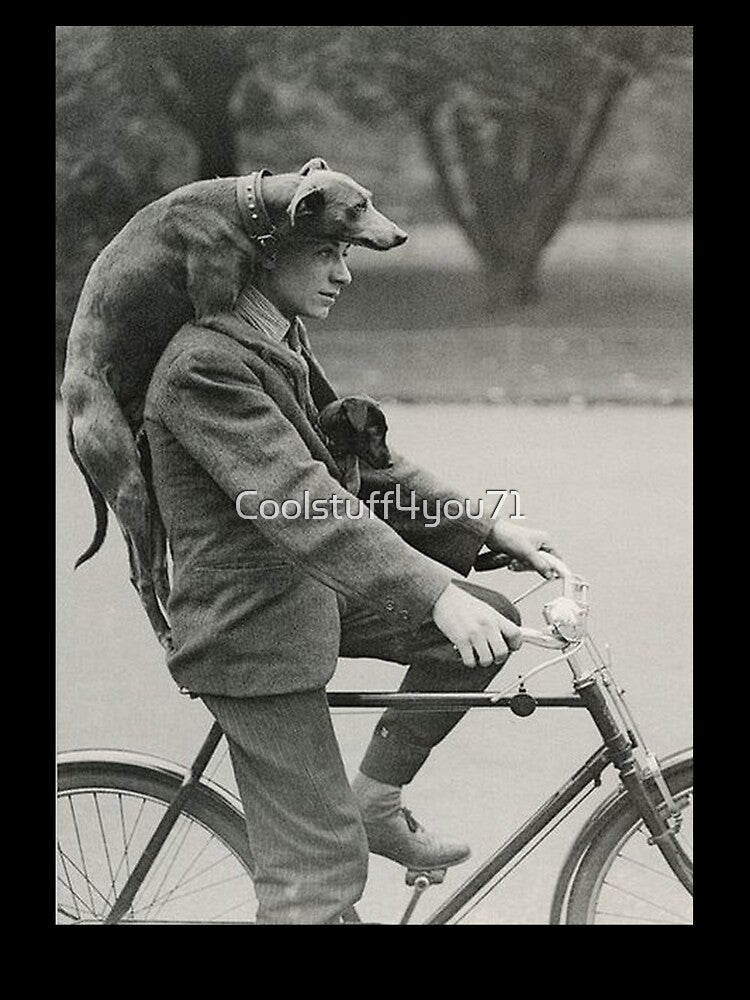 Vintage dog photos Dachshund Dogs retro pet love bicycle by Coolstuff4you71