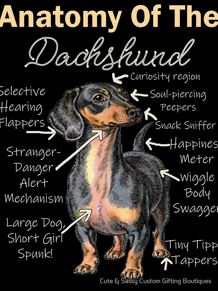 Dachshund Funny Anatomy Of The Dachshund by Cute & Sassy Custom Gifting Boutiques