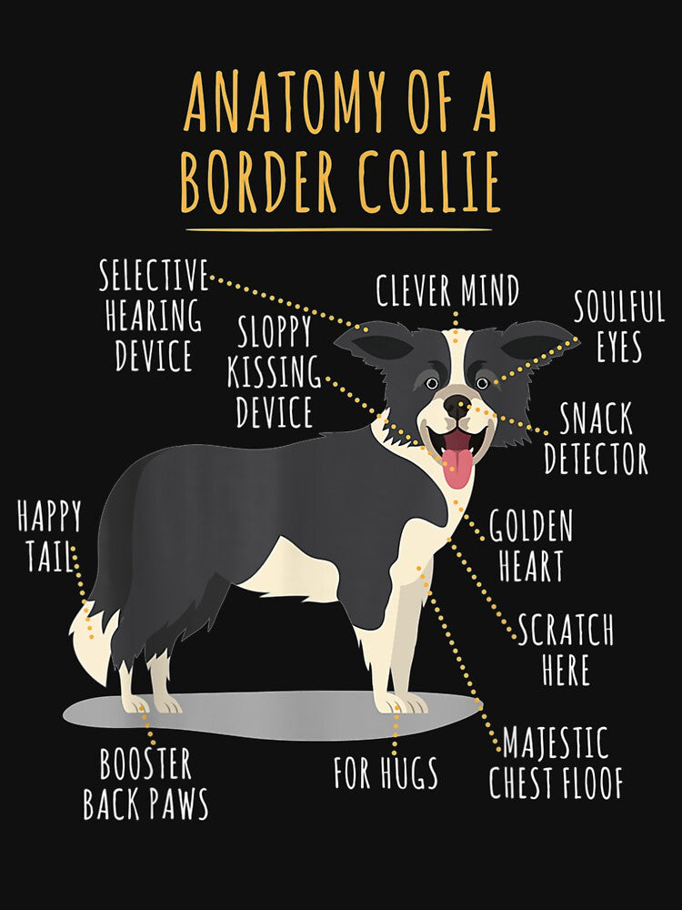 Funny Anatomy Of A Border Collie Intelligent Dog Breed by manidala