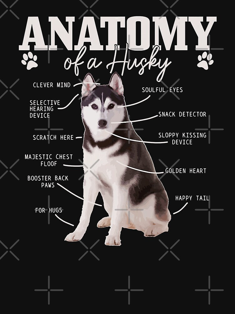Anatomy Of A Siberian Husky Funny Cute Dog Husky Mom Dad by PerkinsAarav