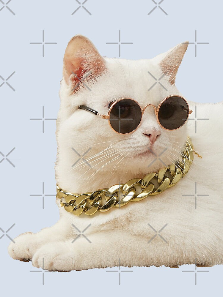 Cool Pet Necklace & Sunglasses by Brendaallen Art