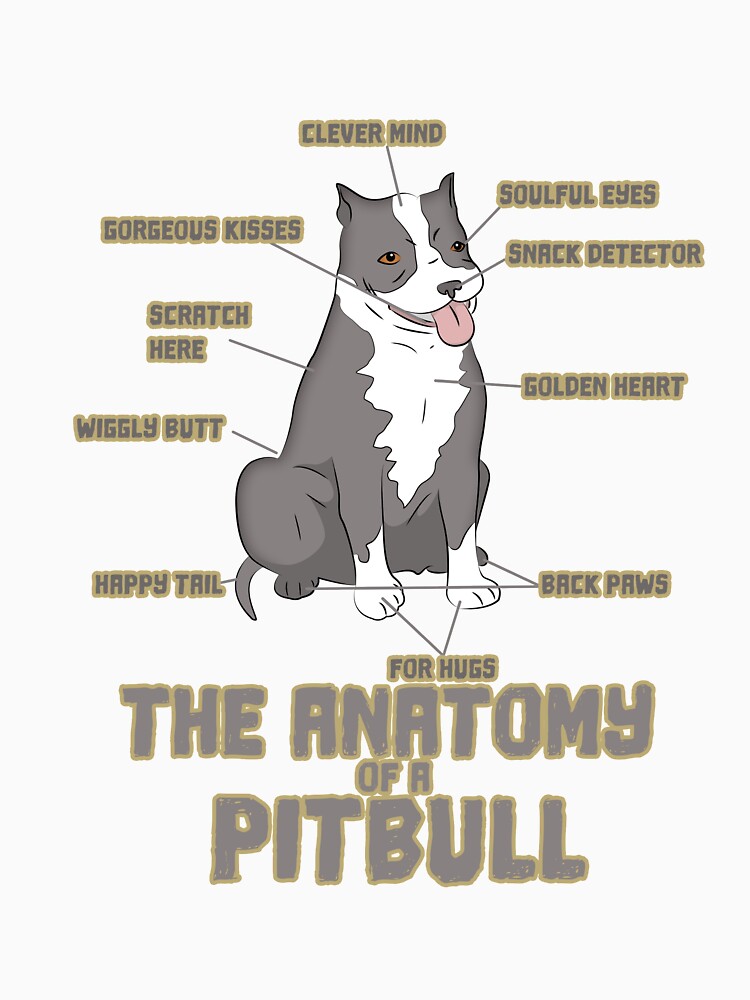 Anatomy Of A PitBull Funny Dog by CreativeStrike
