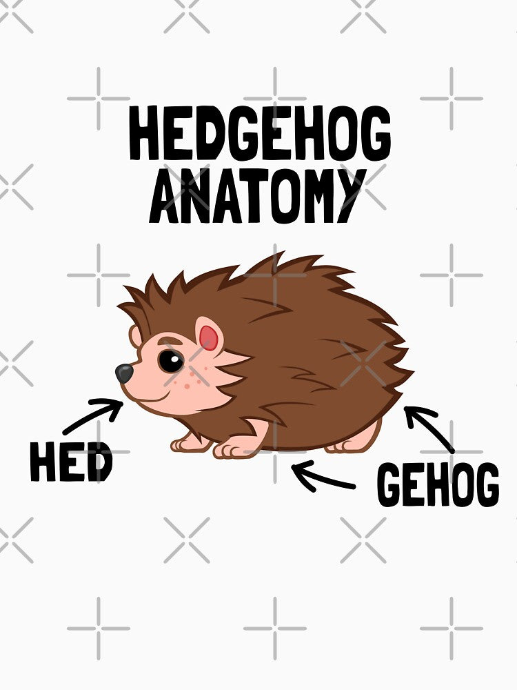 Hedgehog Anatomy by Vladan Seva