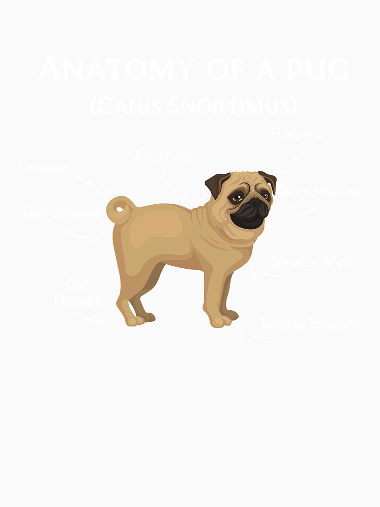 Pug Anatomy by Oceanarium