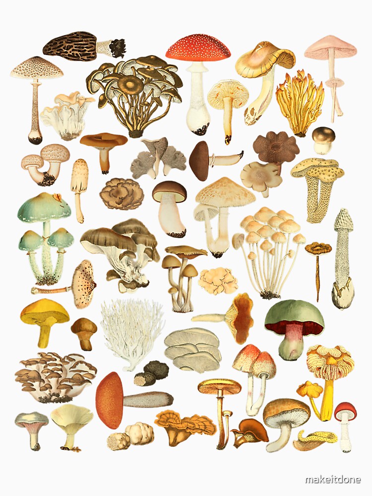Mushroom Mycology Fungi Foraging Mushroom Whisperer by makeitdone