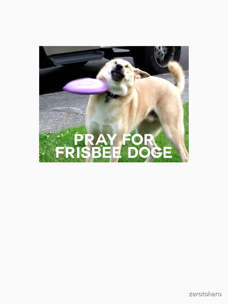 Pray for Frisbee Doge by zerotohero