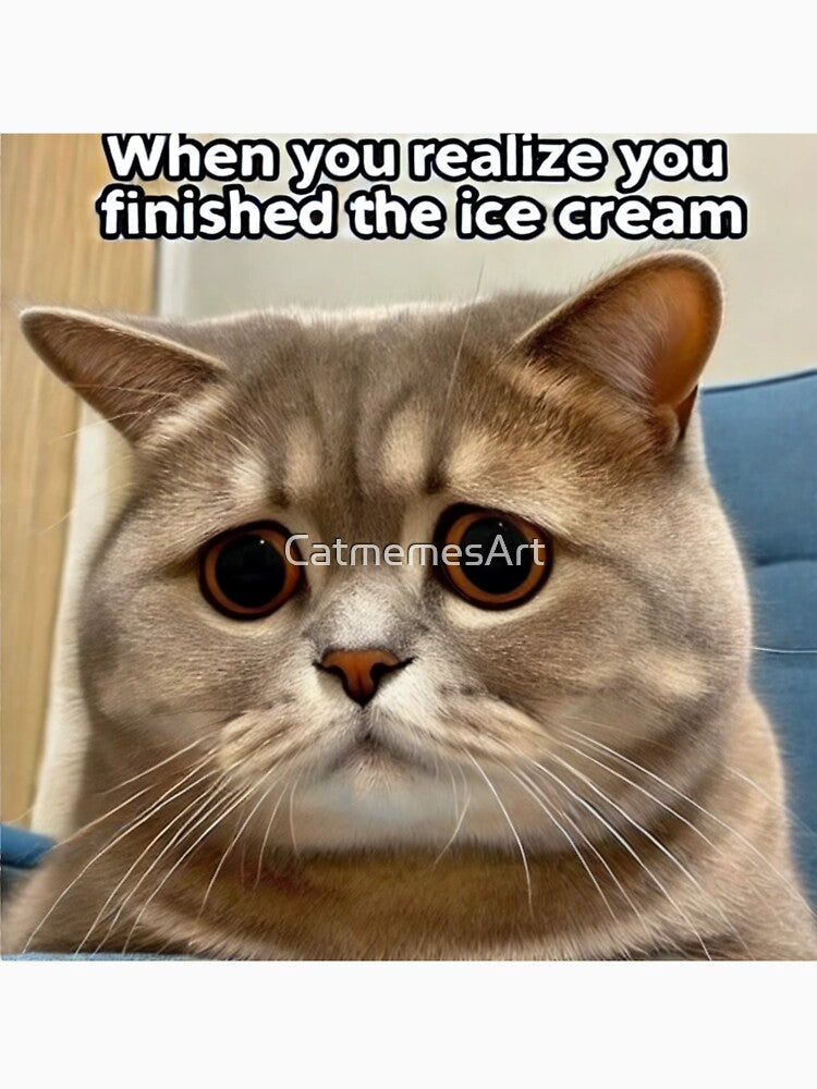 When You Realize You Finished the Ice Cream - Funny Pathetic Cat Meme by CatmemesArt