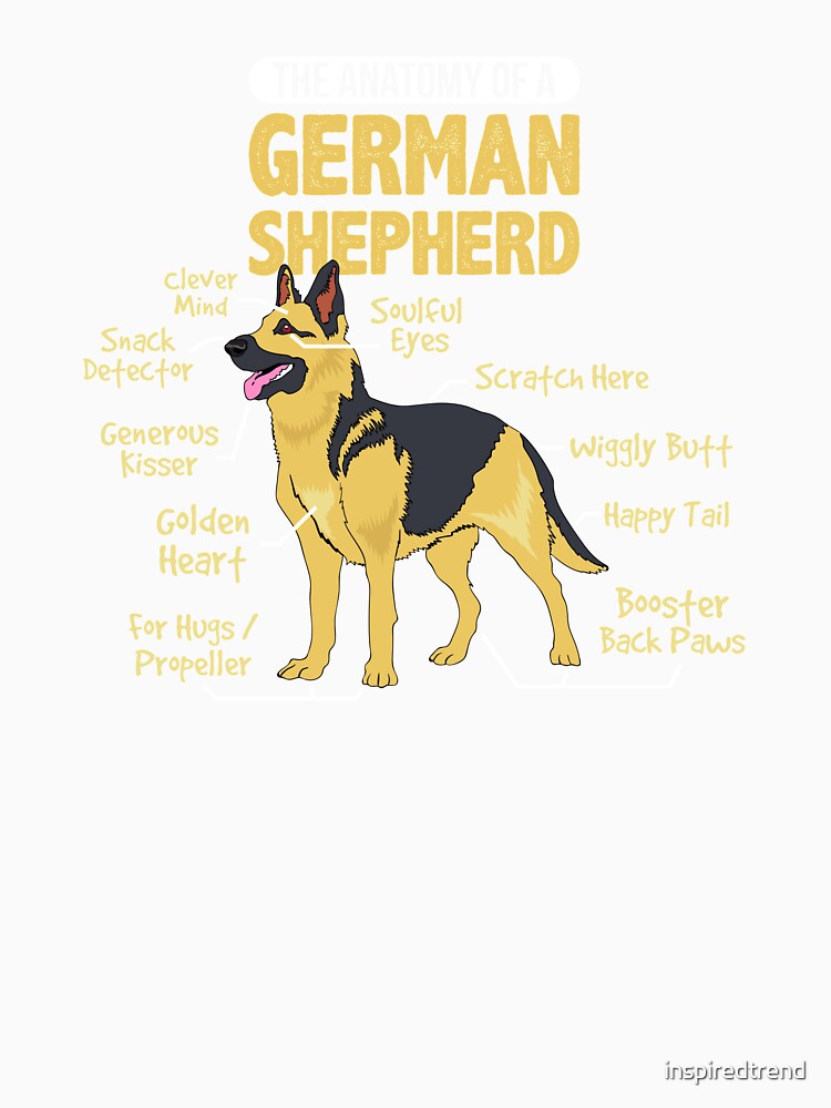 The Anatomy of a German Shepherd Dog Graphic by inspiredtrend