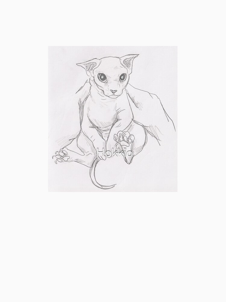 Bingus the cat by Hokkio