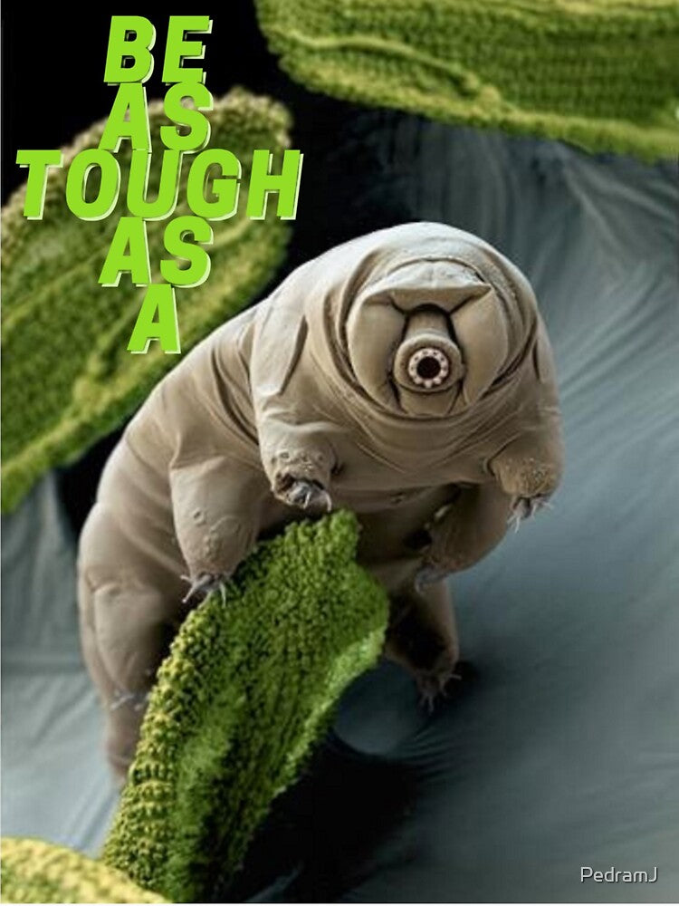 Tough as a tardigrade by PedramJ