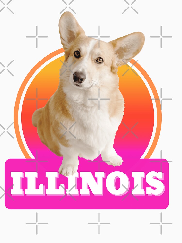 Illinois state and corgi by Weather gifts
