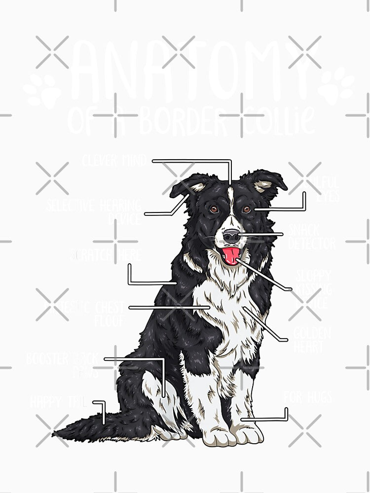 Funny Anatomy Border Collie Dog Lover by PanXuegang