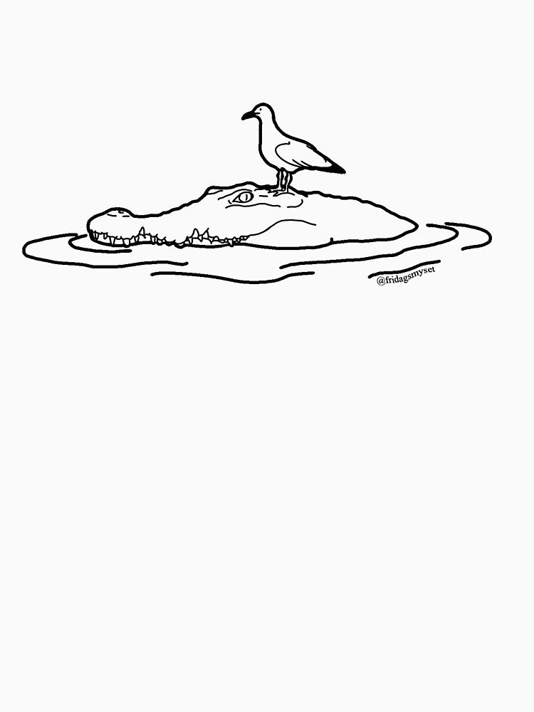 Crocodile & Bird Friendship by Aaudialeth