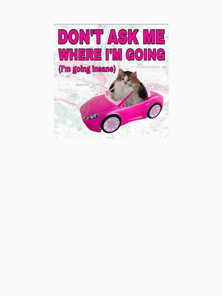 dont ask me where im going (im going insane) by luckygloss