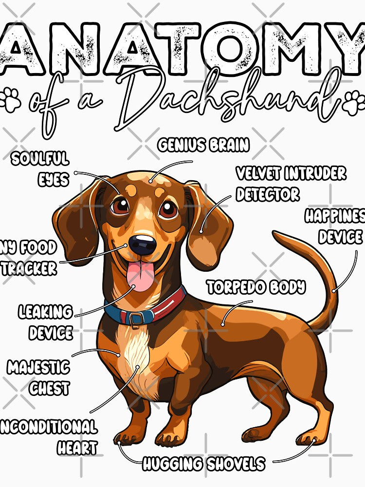 Anatomy of a Dachshund by emedesigntopia