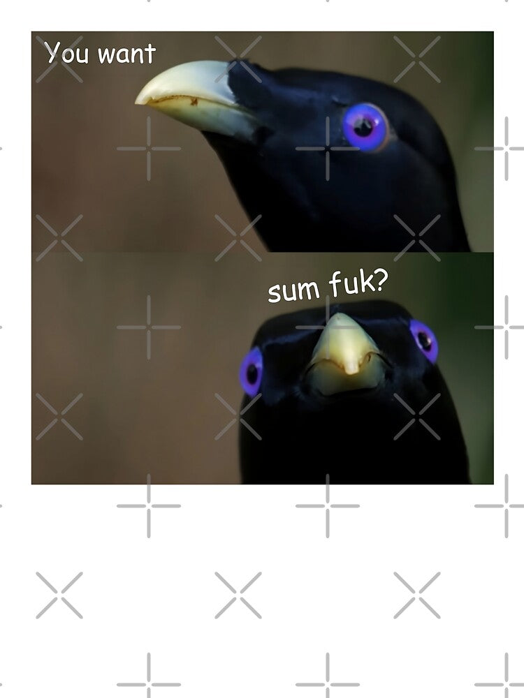 Baby You Want Sum Fuk? Lemme Smash Crow Bird Meme by fomodesigns