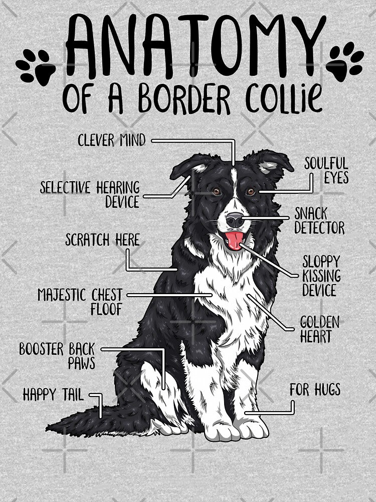 Funny Border Collie Anatomy Dog Owner Dog Lover by lanynx design
