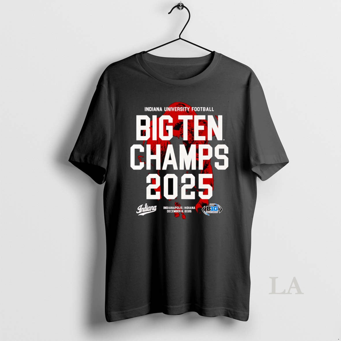 Original Indiana 2025 Big Ten Champs Bison