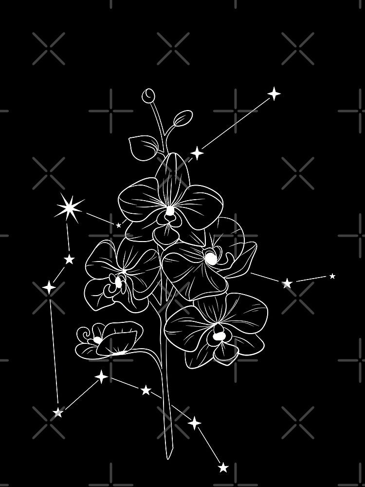 Aquarius constellation and orchid birth flower illustration by VickyReiStudio