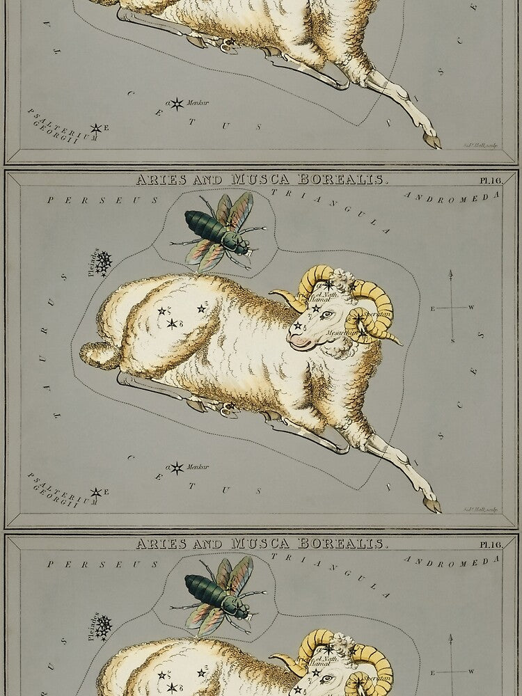 Aries Zodiac Sign by SFTStudio