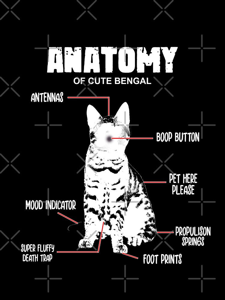 anatomy of a cat by sami david ⭐⭐⭐⭐⭐