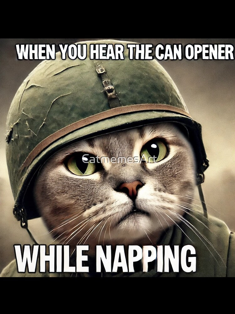 War Cat Meme - When you hear the can opener while napping by CatmemesArt