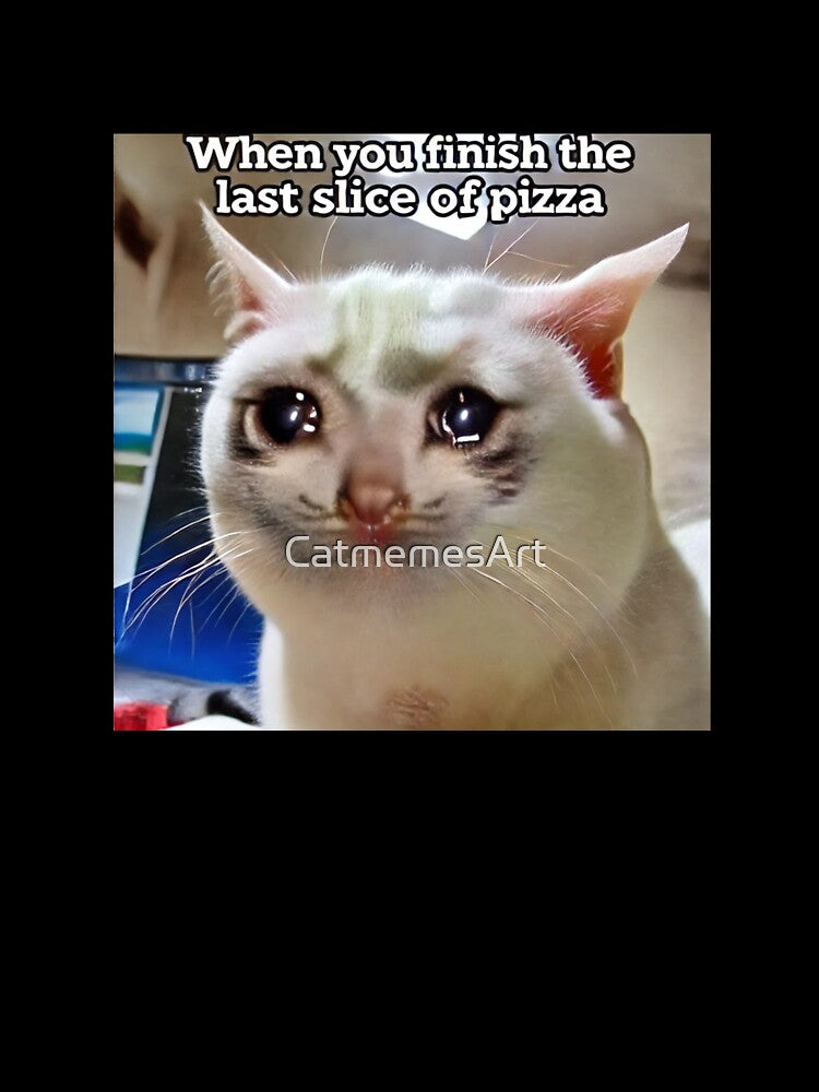 Funny Crying Cat Meme - When You Finish the Last Slice of Pizza by CatmemesArt