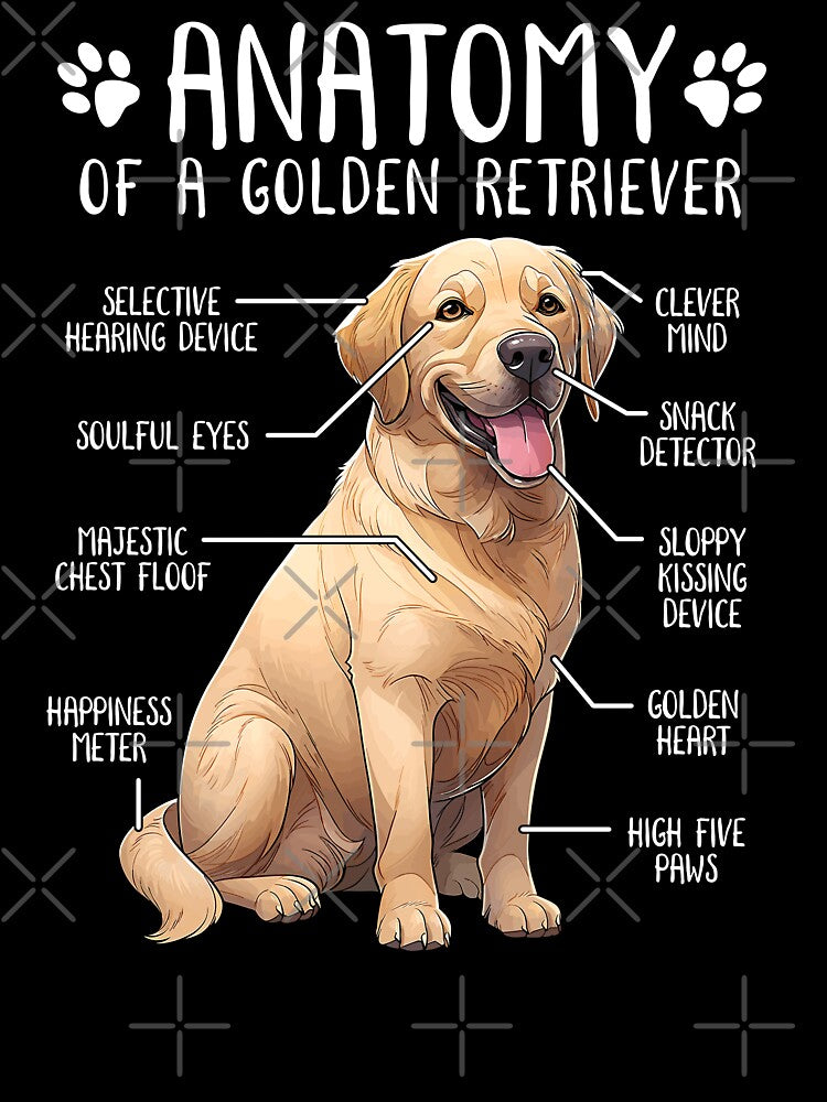 Funny Golden Retriever Anatomy Dog Lover Owner by lanynx design