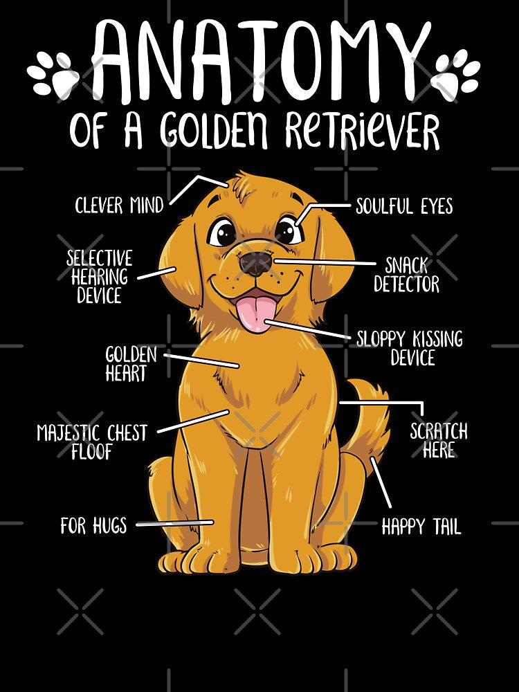 Funny Golden Retriever Anatomy Dog Owner Dog Lover by lanynx design