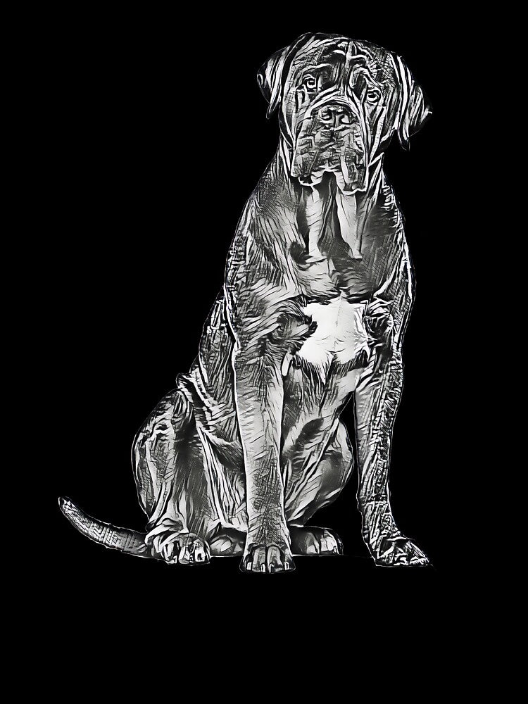 Cane Corso by brunodlo