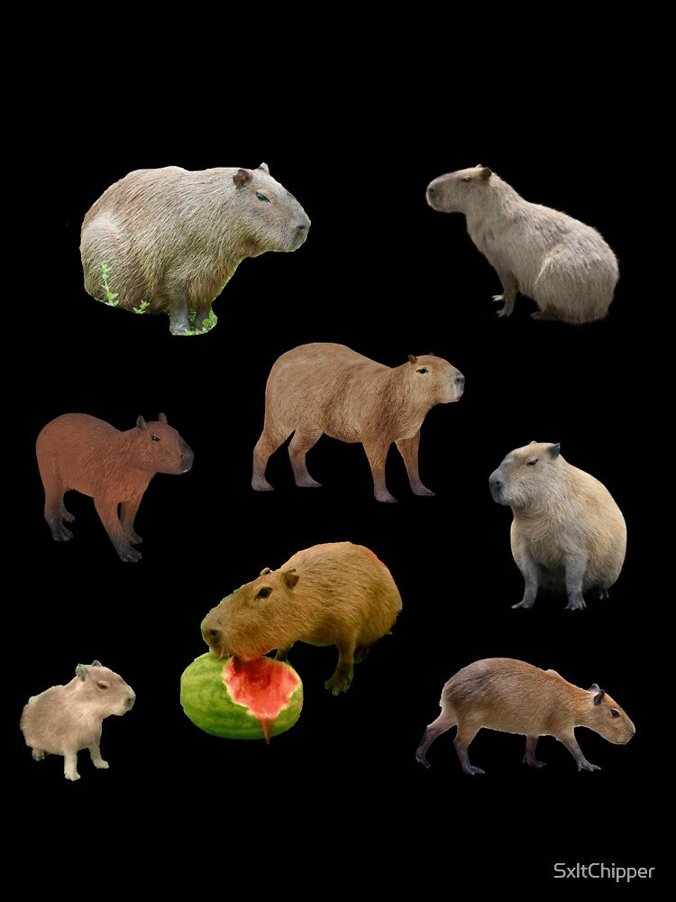 (Mostly) real capybaras by SxltChipper