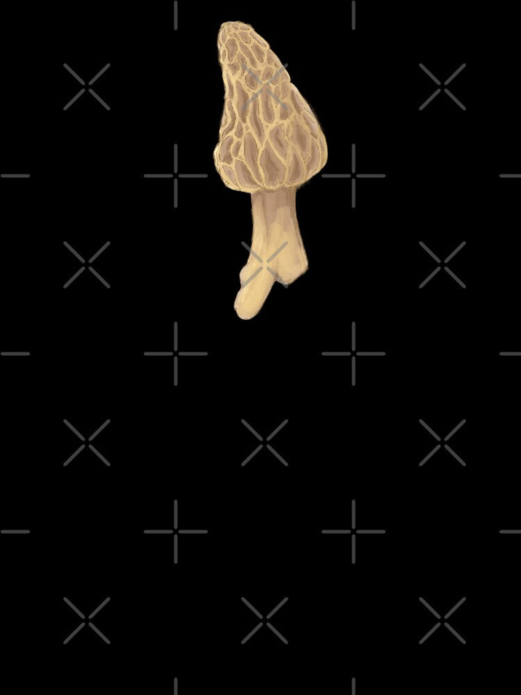morel mushroom by Beelixir