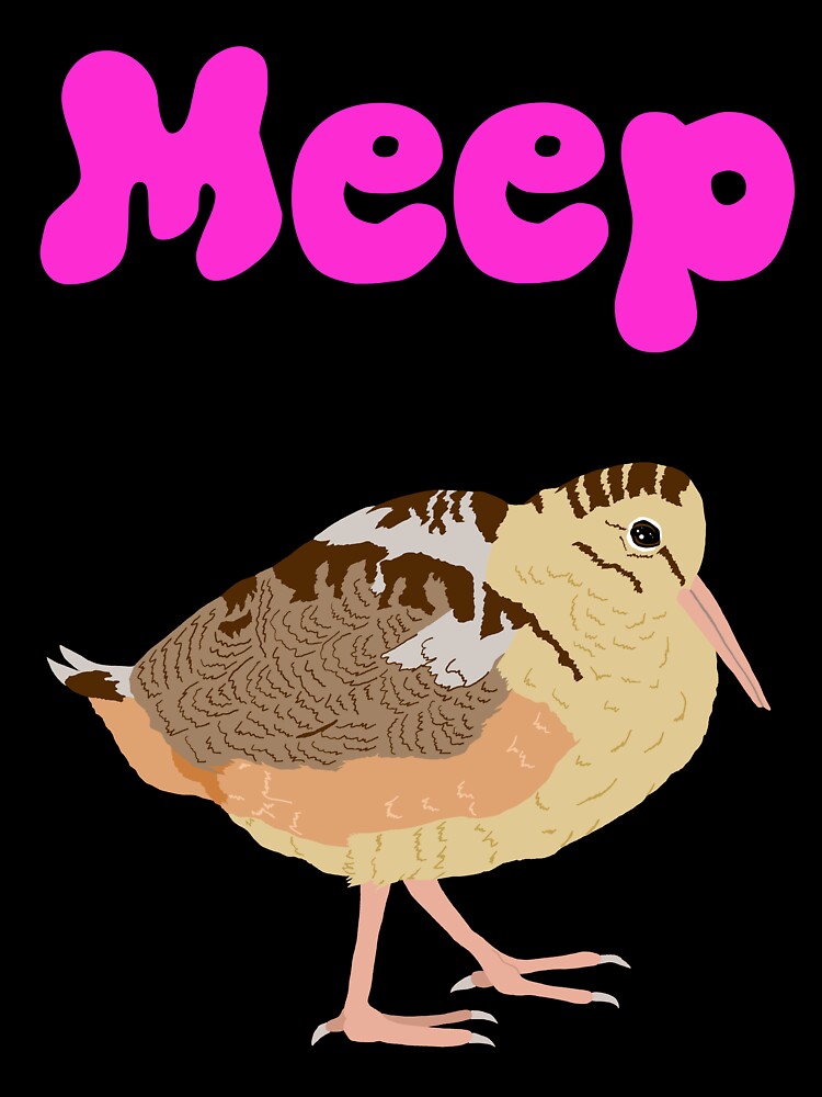 Meep Woodcock Bird by TiffinByLK