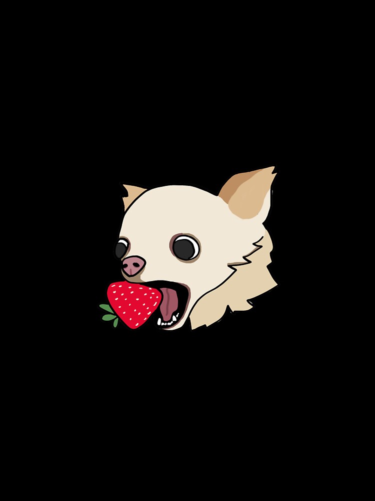 Chihuahua Biting a Strawberry Meme by poodlepin