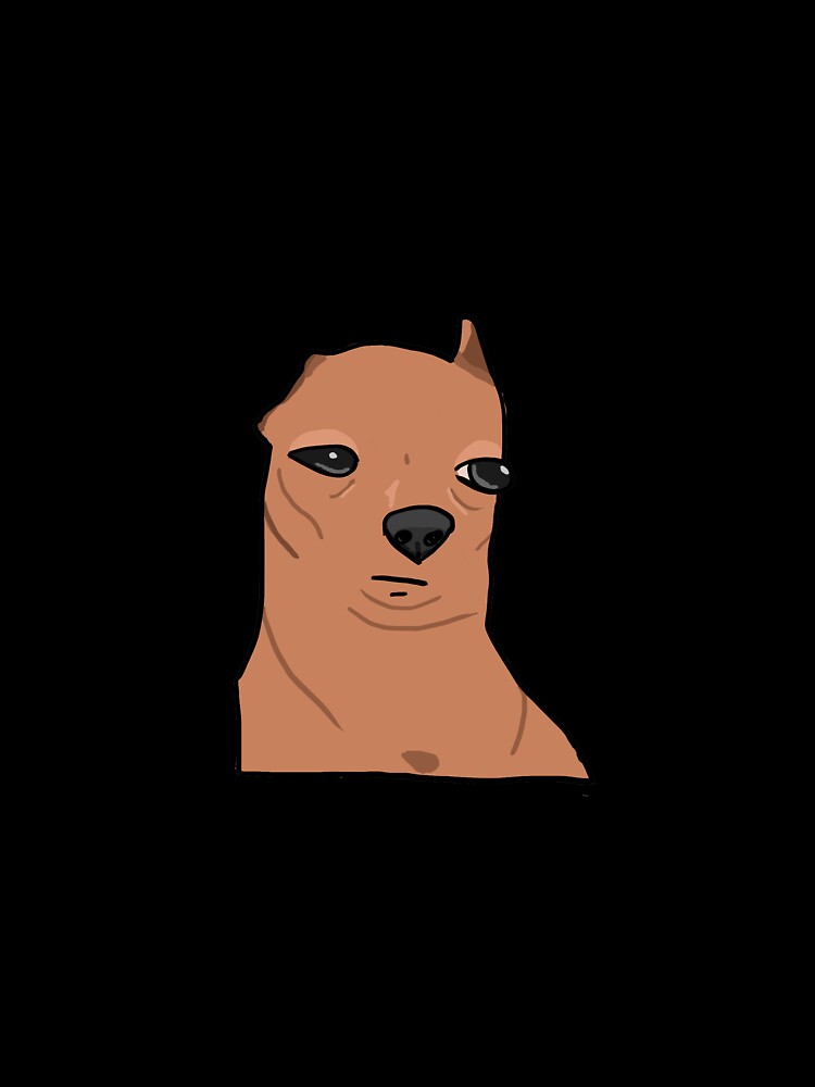 Uncomfortable Chihuahua Meme by poodlepin