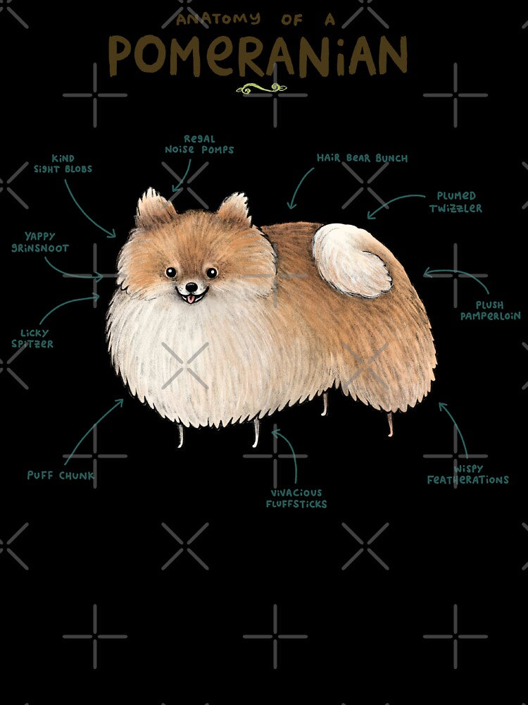Anatomy of a Pomeranian by SophieCorrigan