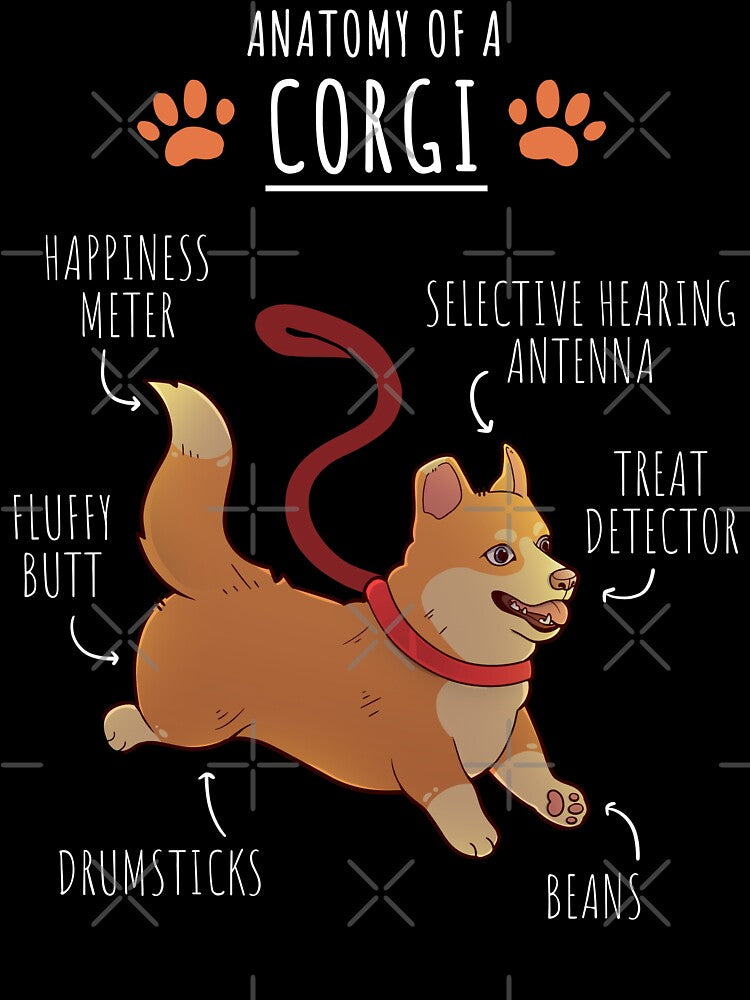 Anatomy of a Corgi by Mossysplashart