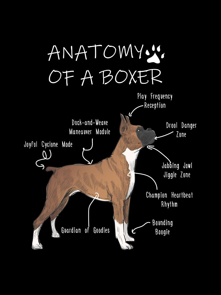 Anatomy of a Boxer by Petensity