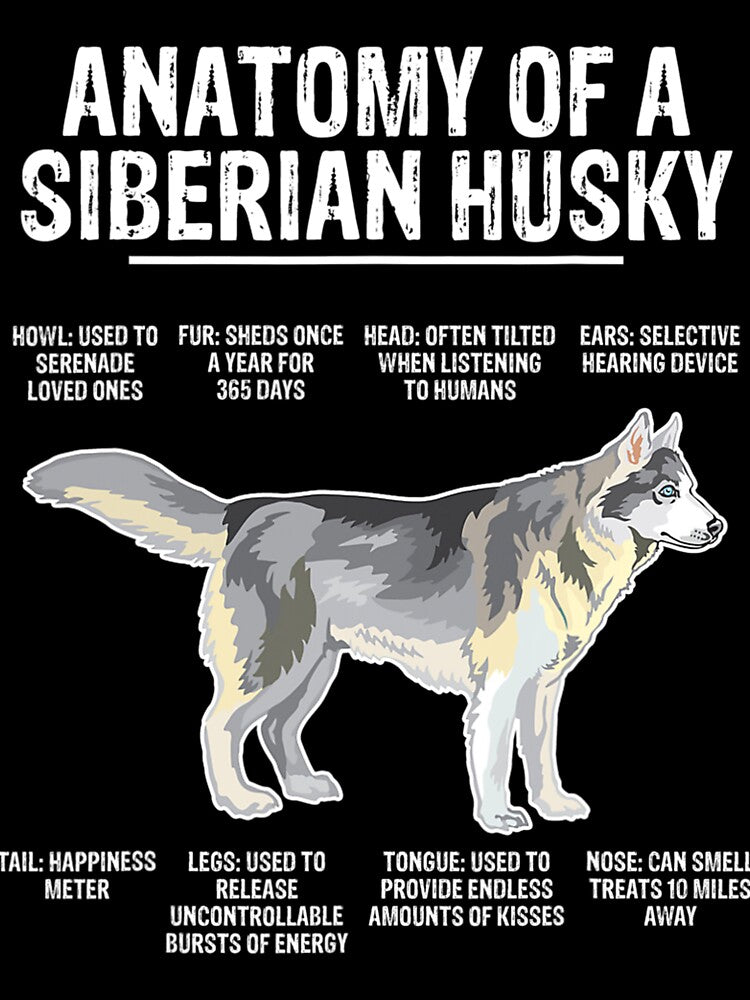 Cute and Funny Anatomy of a Siberian Husky by Nicestore099