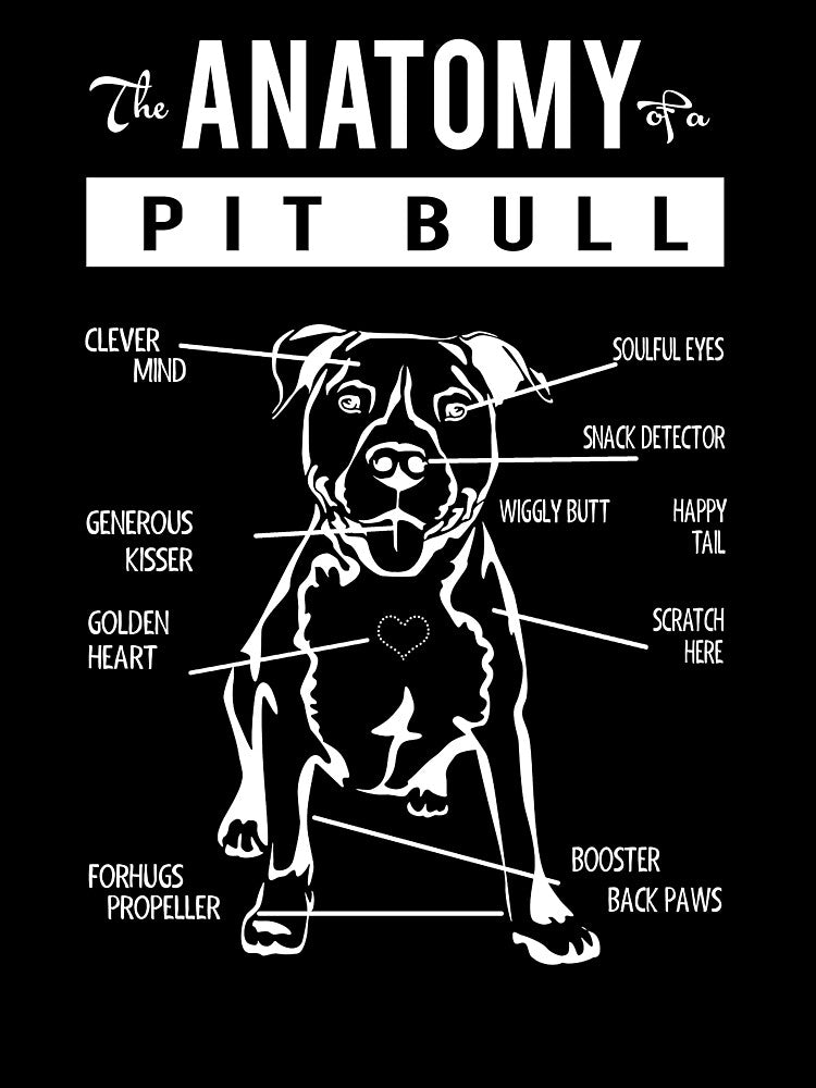 Anatomy Of A Pitbull American Pitbull Dog Lover by Kaysmith233