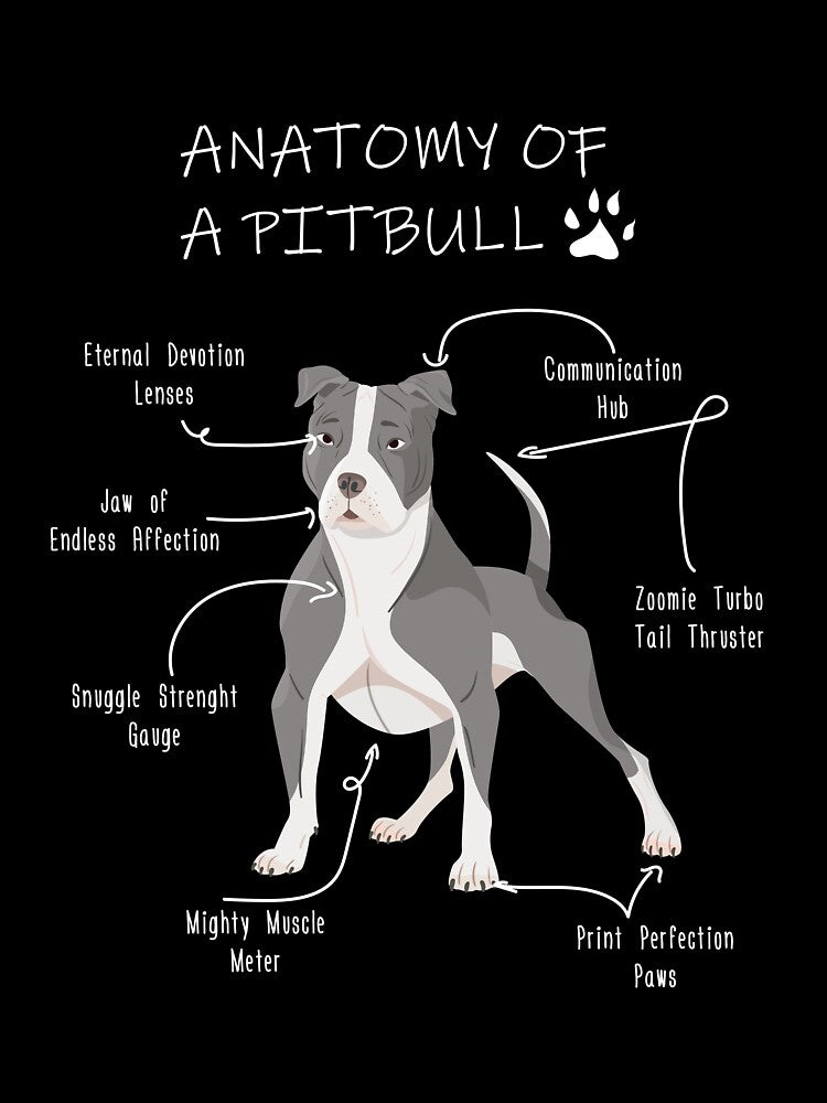 Anatomy of a Pitbull by Petensity