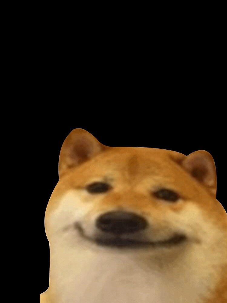 doge meme by tttatia