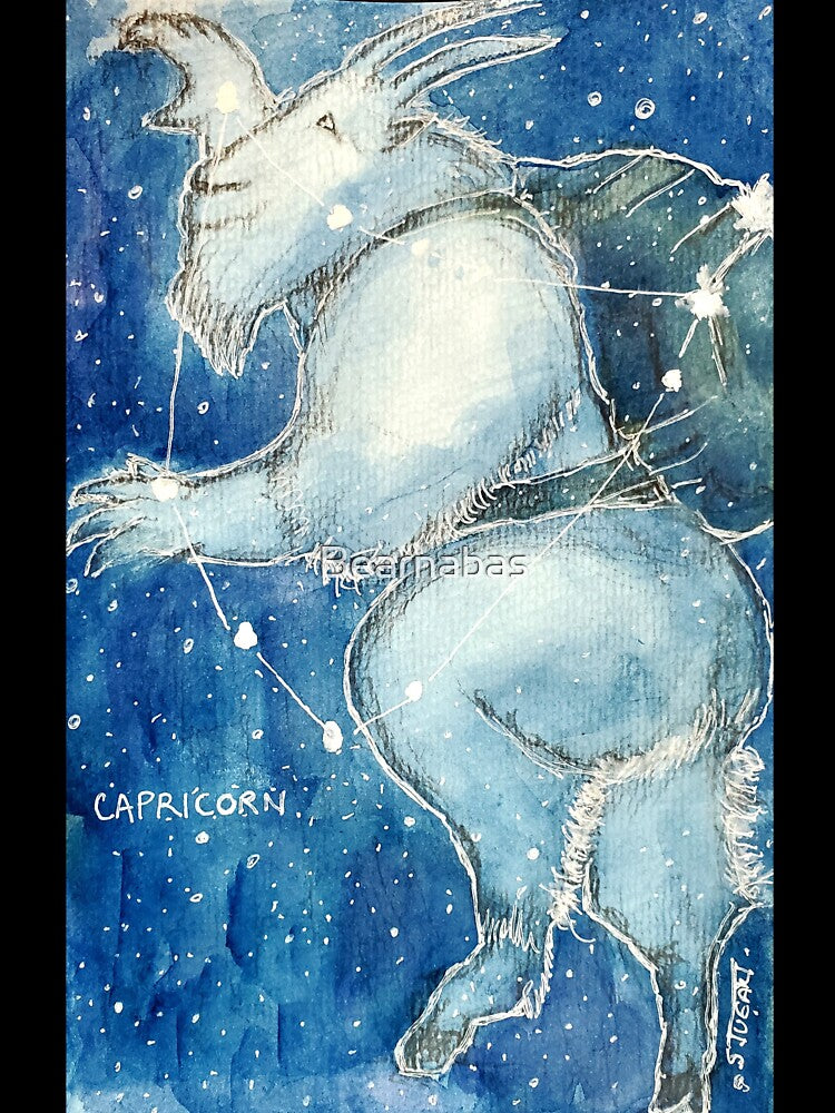CAPRICORN, from the "Bear Zodiac" series by Bearnabas